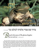 Artscroll: Perek Shirah - The Song of the Universe - Full Size by Rabbi Nosson Scherman