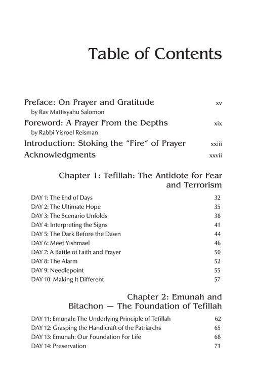 Artscroll: Praying With Fire Volume 2 by Rabbi Heshy Kleinman