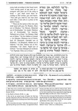 Artscroll: Sapirstein Edition Rashi - 4 - Bamidbar - Full Size by Rabbi Yisrael Isser Zvi Herczeg