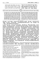 Artscroll: Sapirstein Edition Rashi - 5 - Devarim - Full Size by Rabbi Yisrael Isser Zvi Herczeg