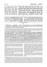 Schottenstein Edition The Elucidated Rashi on Chumash - Bamidbar volume 1: Bamidbar – Korach