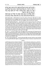 Sforno - Commentary on the Torah