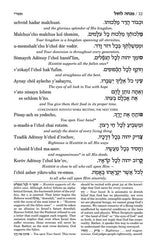 Siddur Transliterated Linear - Sabbath And Festivals - Seif Edition