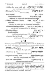 Tehillim: Transliterated Linear - Seif Edition