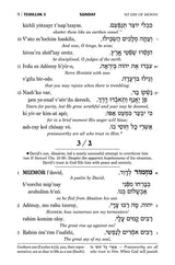 Tehillim: Transliterated Linear - Seif Edition