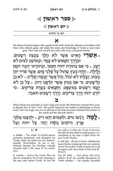 Tehillim / Psalms - 1 Vol - Full Size