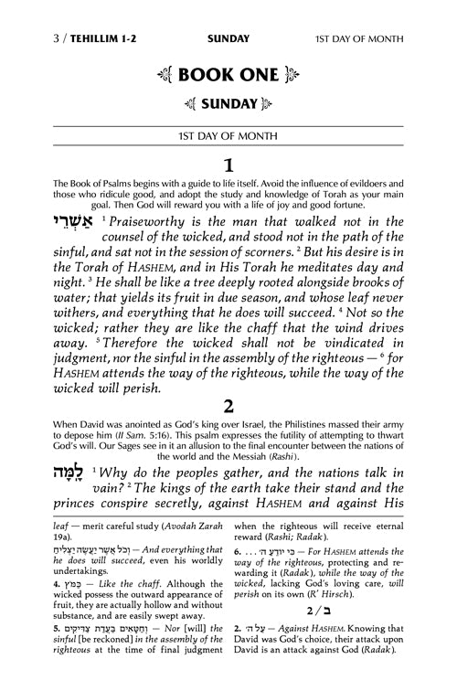 Tehillim Full-Size Hebrew/English - Glacier Grey Signature Leather Collection