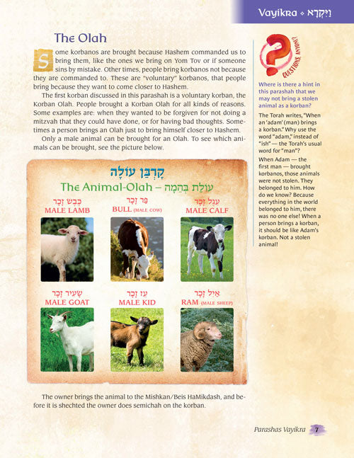 The Weekly Parashah – Sefer Devarim - Jaffa Family Edition