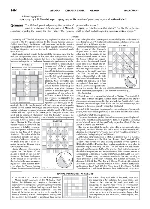 Schottenstein Talmud Yerushalmi - English Edition - Tractate Kilayim