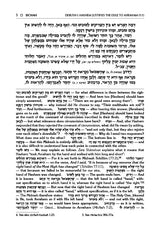 Zera Shimshon on Megilas Eichah - Haas Family Edition