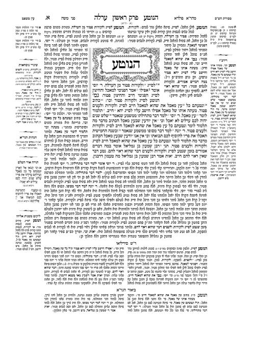 Schottenstein Daf Yomi Talmud Yerushalmi English [#12]- Tractate Orlah / Bikkurim