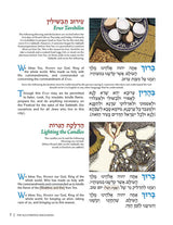 The Illustrated Haggadah Hard Cover