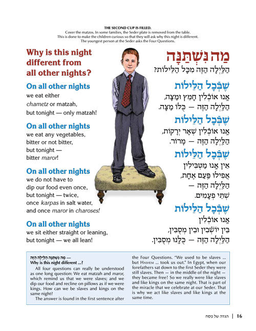 The Illustrated Haggadah Hard Cover