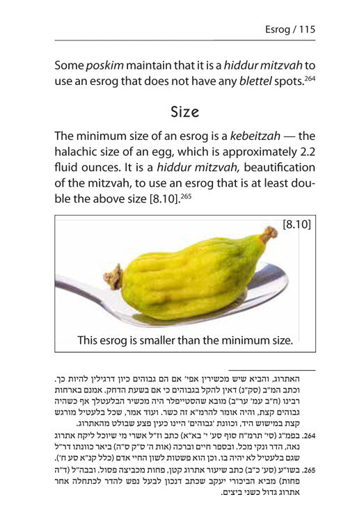 Halachic Handbook: The Laws of the Succah and Four Species Pocket Size Paperback