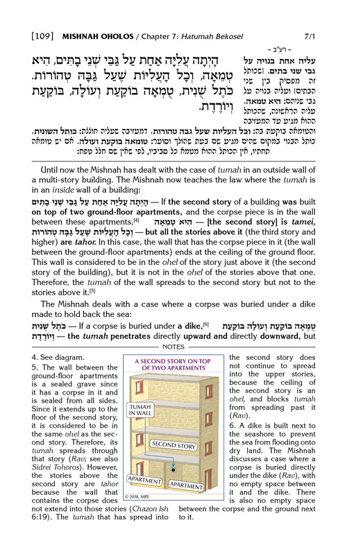 Schottenstein Edition Mishnah Elucidated Tohoros Vol. 3 - Full color volume - Tractate: Oholos