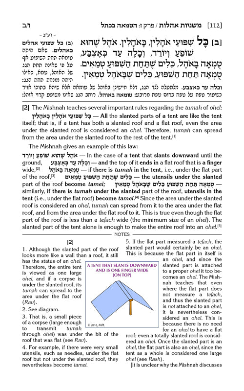 Schottenstein Edition Mishnah Elucidated Tohoros Vol. 3 - Full color volume - Tractate: Oholos