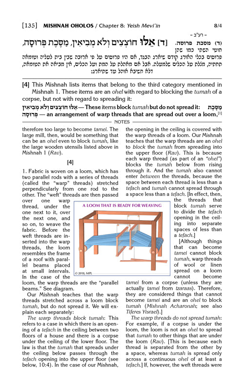 Schottenstein Edition Mishnah Elucidated Tohoros Vol. 3 - Full color volume - Tractate: Oholos