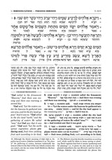 Zichron Meir Edition of Targum Onkelos - Vayikra -Student Size