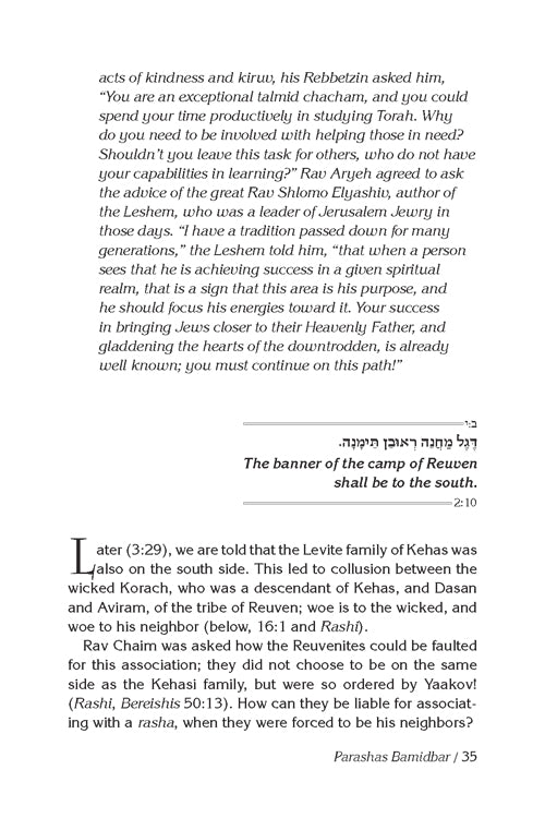 Rav Chaim Kanievsky on Chumash - Bamidbar