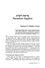 Rav Druck on Chumash - Vayikra