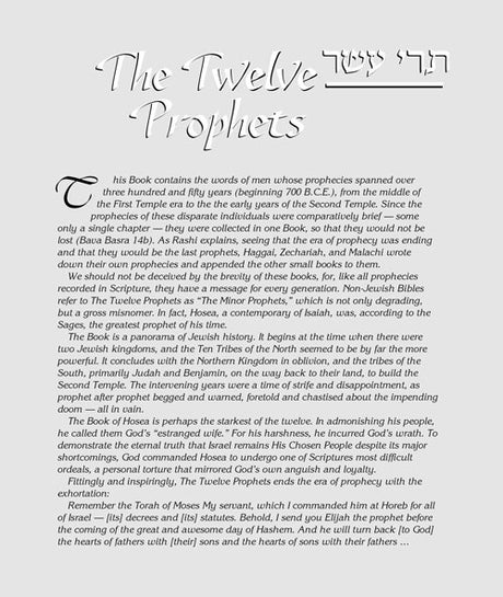 The Milstein Edition of the Later Prophets: The Book of Jeremiah / Yirmiyah Pocket Size