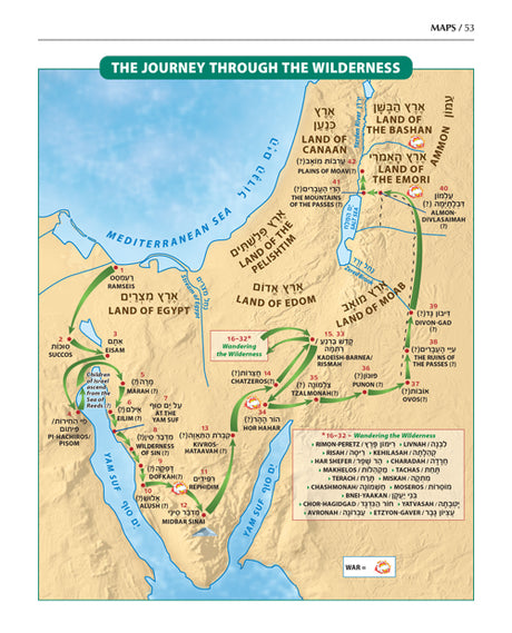 The Book of Torah Timelines, Charts and Maps - Paperback