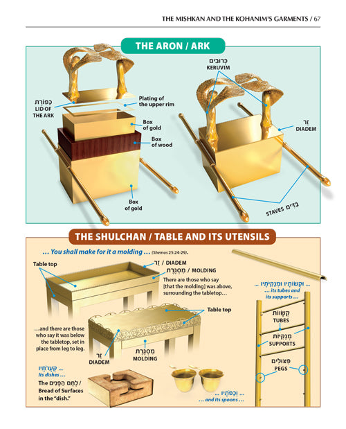 The Book of Torah Timelines, Charts and Maps - Paperback