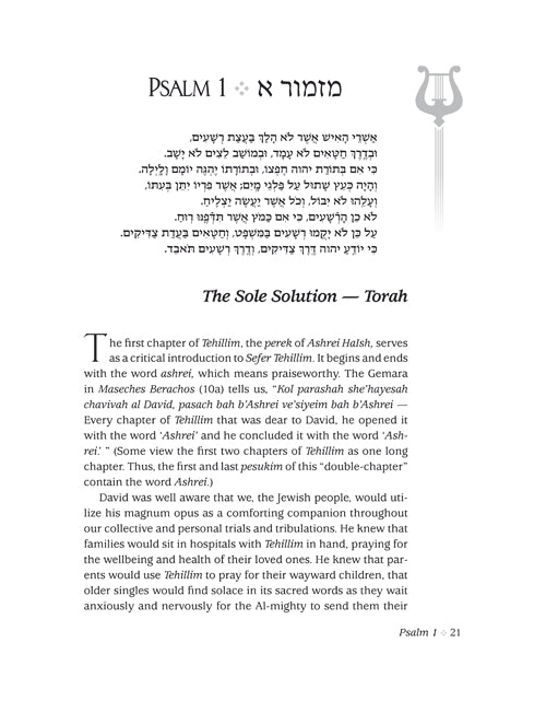 The Touch of Tehillim - Standard Size