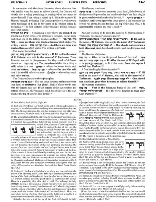 Schottenstein Travel Ed Talmud Yerushalmi English [05B] - Kilayim 2 (44a-84b)