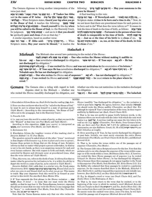 Schottenstein Travel Ed Talmud Yerushalmi English [09B] - Terumos 2B (85b-107a)