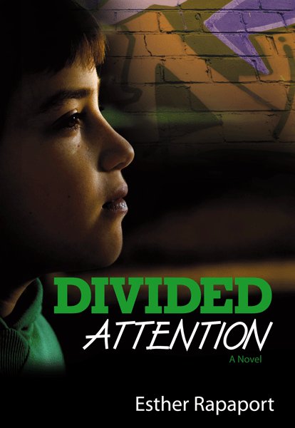 Divided Attention (Softcover)