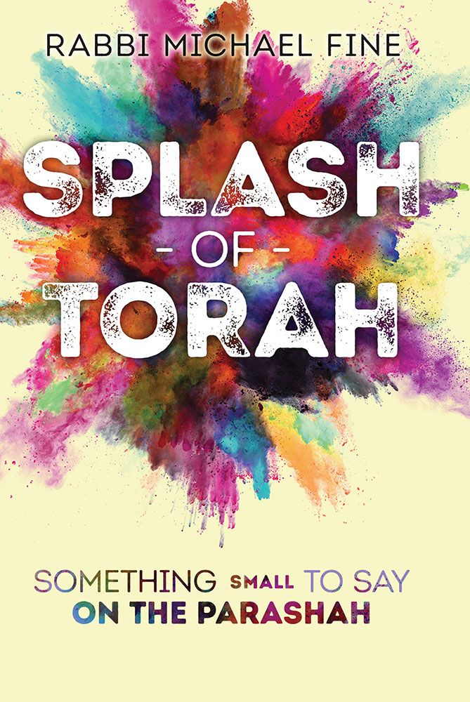 Splash Of Torah - Something Small To Say On The Parashah