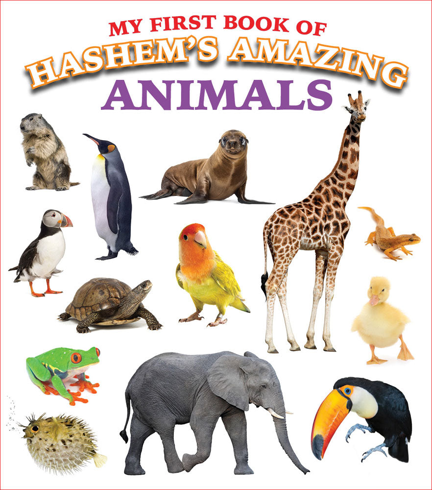 My First Book of Hashem's Amazing Animals