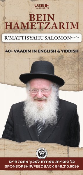 Rav Mattisyahu Salomon Vaadim - Bein Hametzarim USB