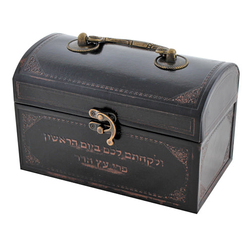 Art Judaica: Etrog Box--Elegant  Faux Leather