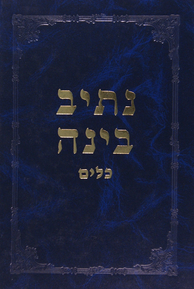 נתיב בינה - כלים