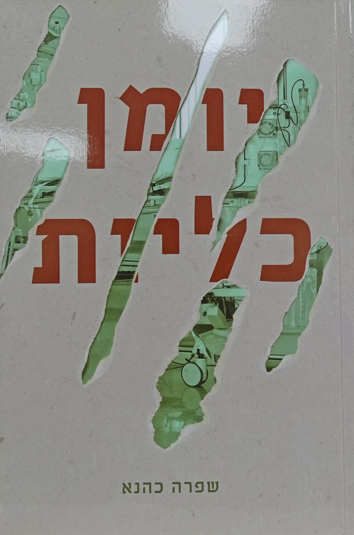 יומן כליות