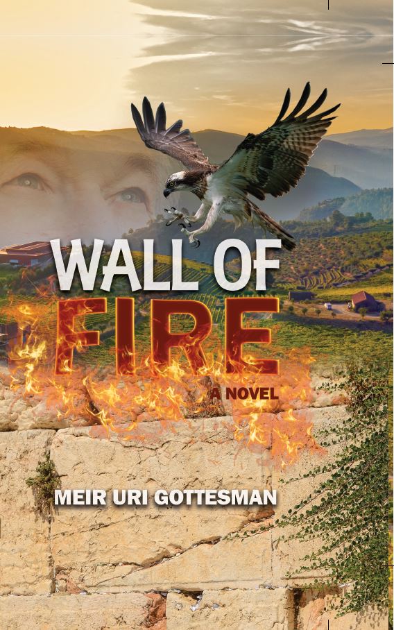 Wall of Fire - Novel