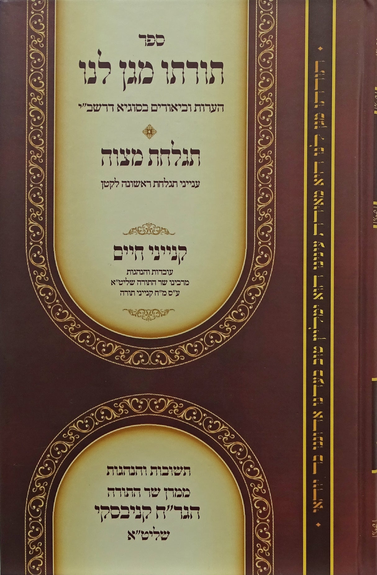 תורתו מגן לנו - הערות וביאורים בסוגיא דרב שמעון בר יוחאי