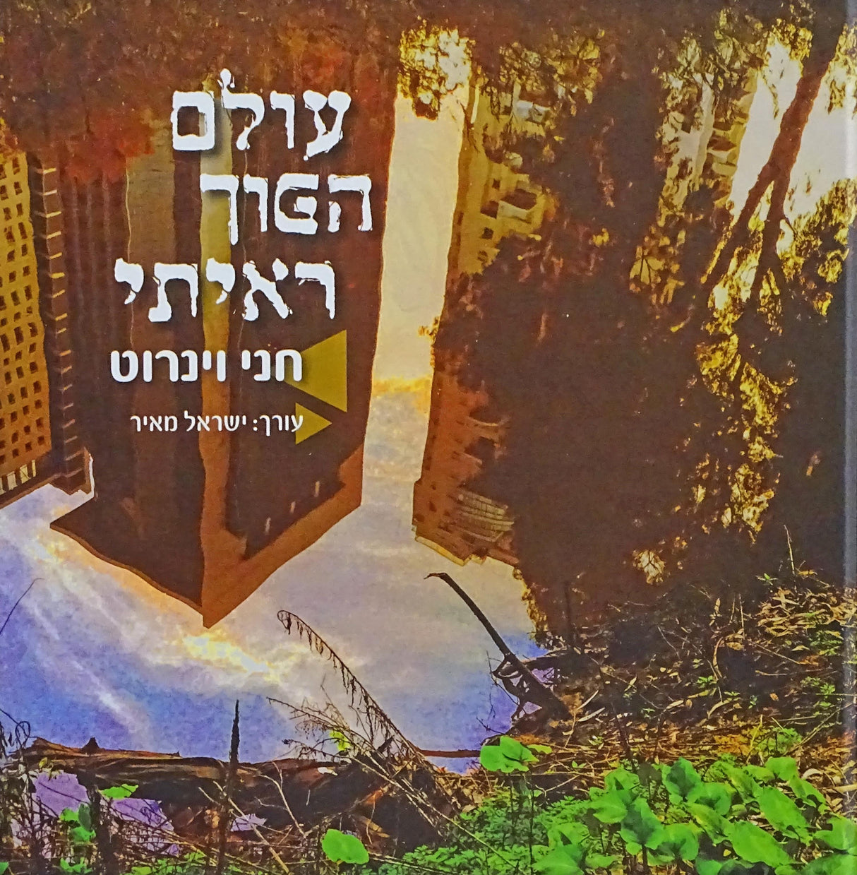 עולם הפוך ראיתי